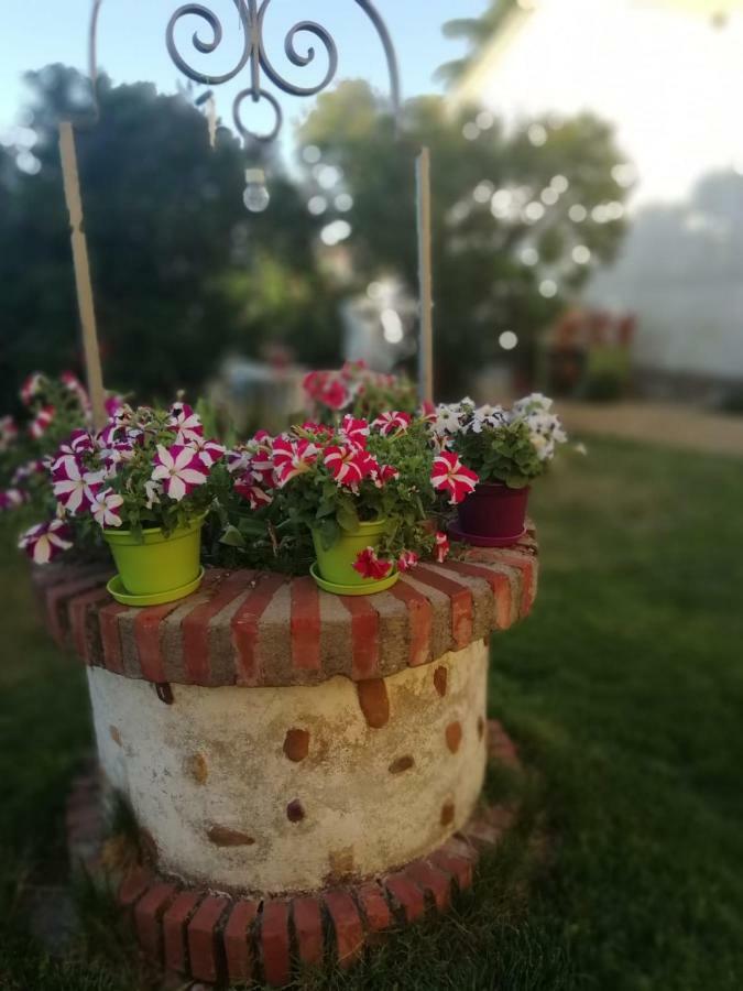 Villa Boleta A 5 Minutos De Leon, Casa Con Jardin à San Andrés del Rabanedo Extérieur photo