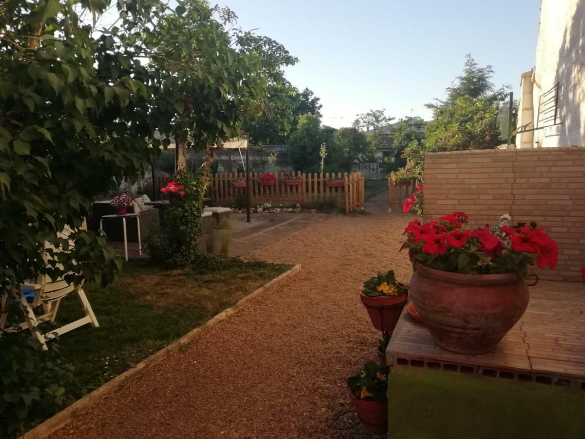 Villa Boleta A 5 Minutos De Leon, Casa Con Jardin à San Andrés del Rabanedo Extérieur photo